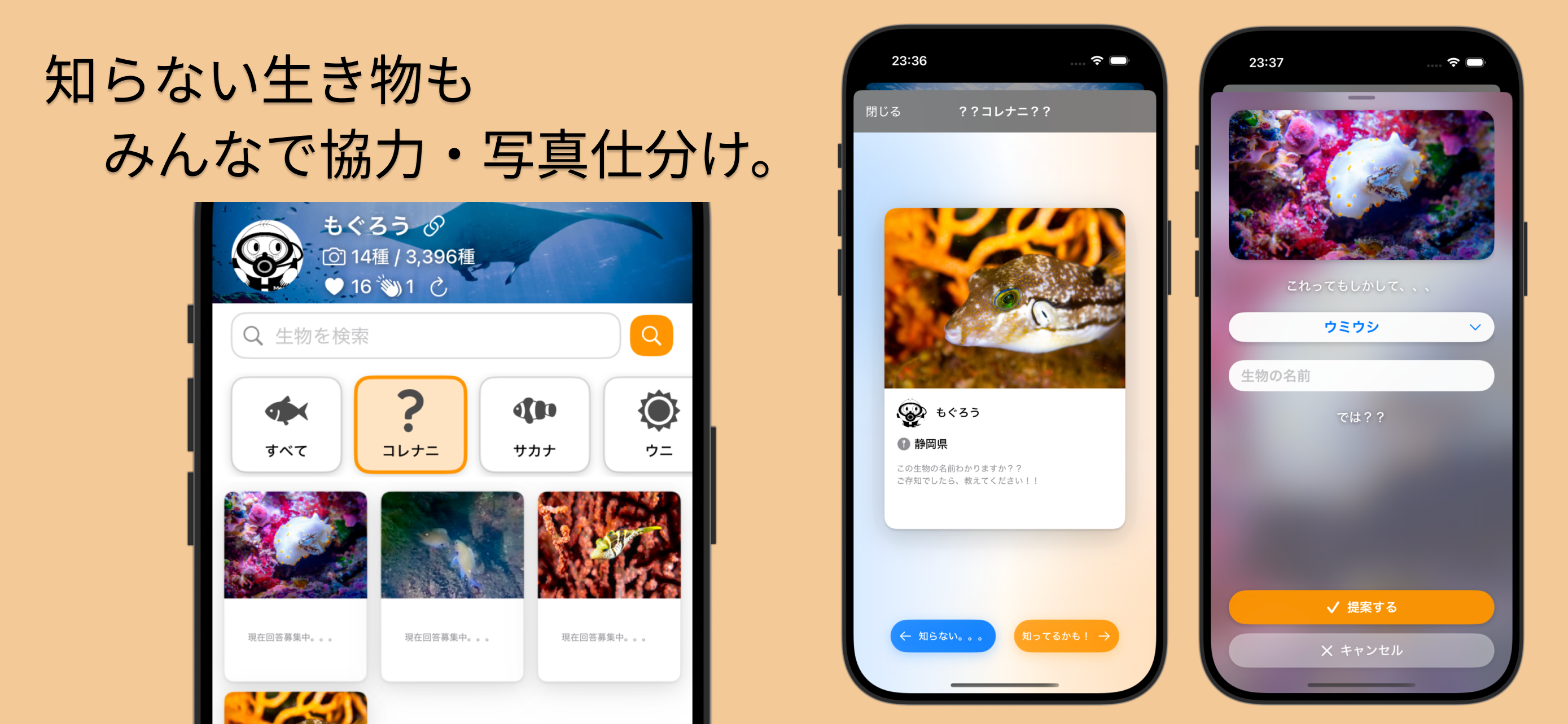 生き物との思い出記録、観測情報のシェア、写真での交流